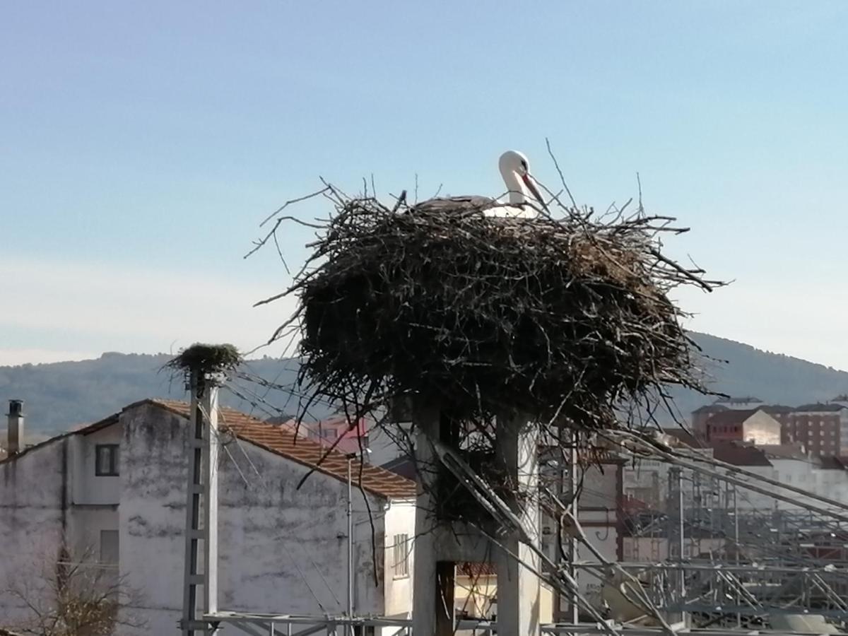 Apartamento Lemavos Monforte De Lemos Buitenkant foto
